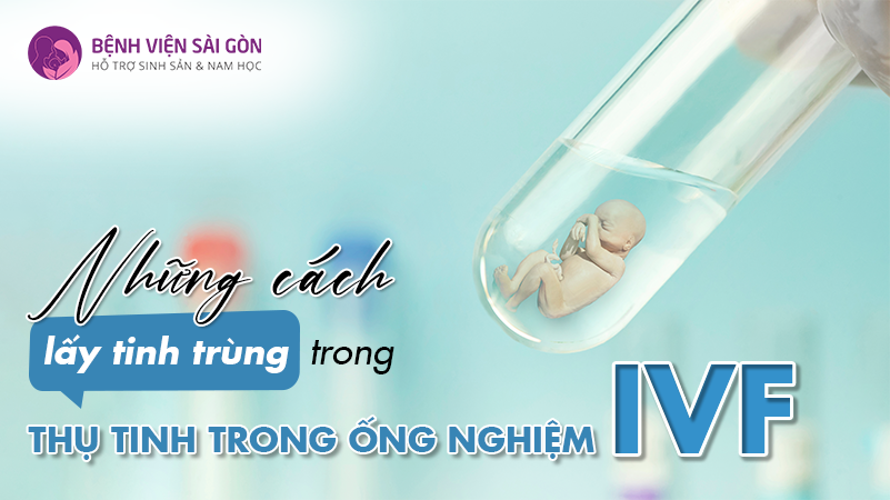 Cách lấy tinh trùng trong thụ tinh trong ống nghiệm (IVF)