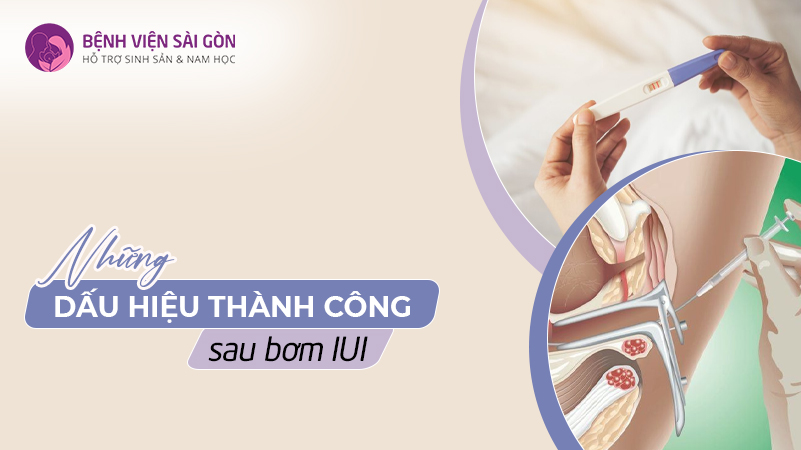 Những dấu hiệu thành công sau bơm IUI