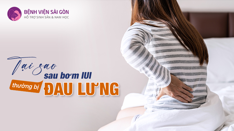 Giải đáp: Tại sao sau bơm IUI thường bị đau lưng?