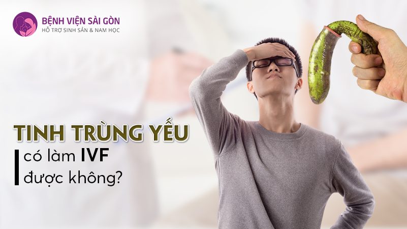 Tinh trùng yếu có làm IVF được không?