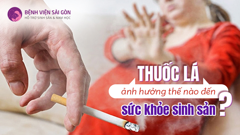 Thuốc lá ảnh hưởng thế nào đến sức khỏe sinh sản