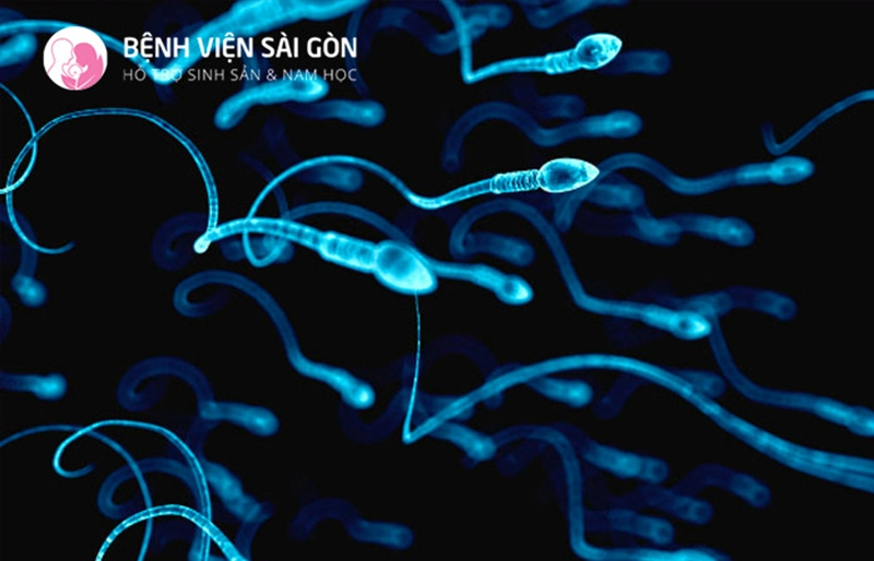 Dựa vào kết quả xét nghiệm tinh dịch đồ có thể giúp bác sĩ nên chọn IUI hoặc IVF