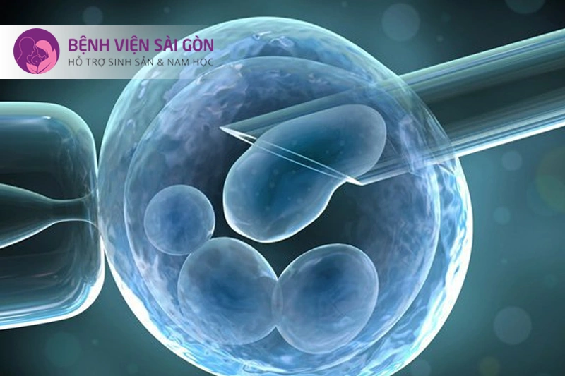 Kĩ thuật chuyển nhiều phôi Kĩ thuật chuyển nhiều phôi