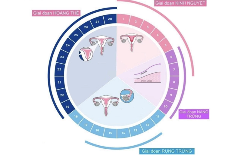 Tiêm kích trứng IVF diễn ra như thế nào