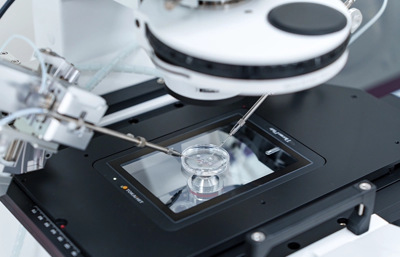Kỹ thuật IVF hiện đại