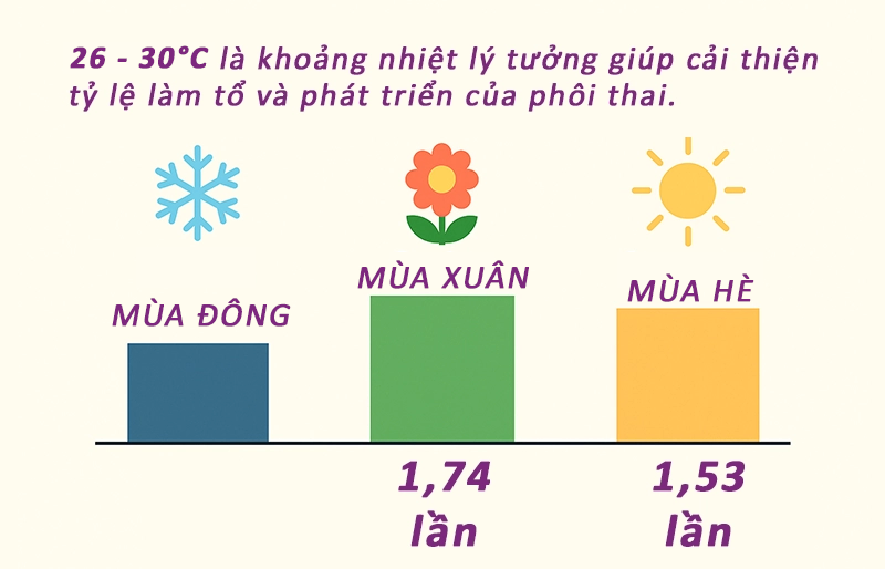 Nên làm IVF vào mùa nào dễ thành công