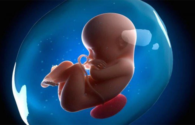 Nguy cơ đối với thai nhi