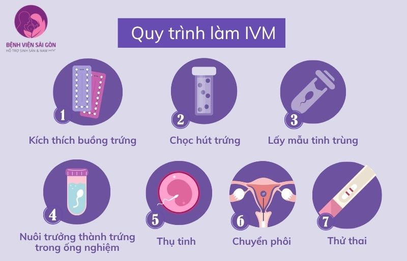 Phương pháp IVM Phương pháp IVM