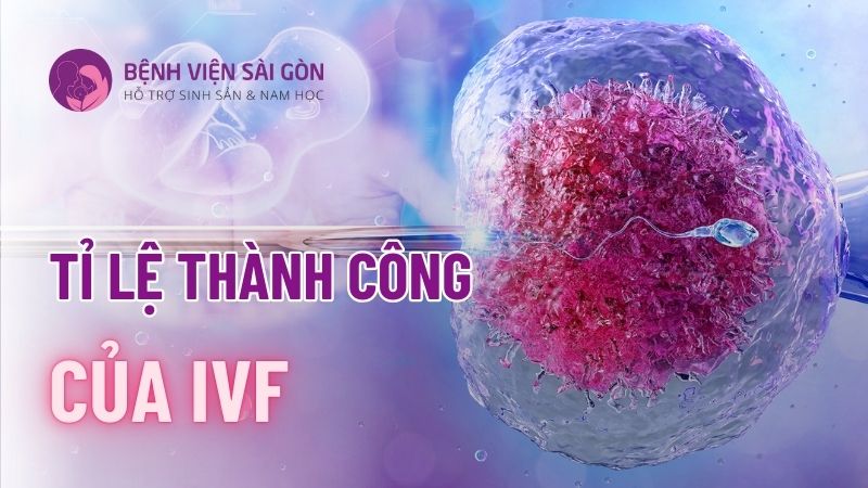 tỉ lệ thành công của ivf