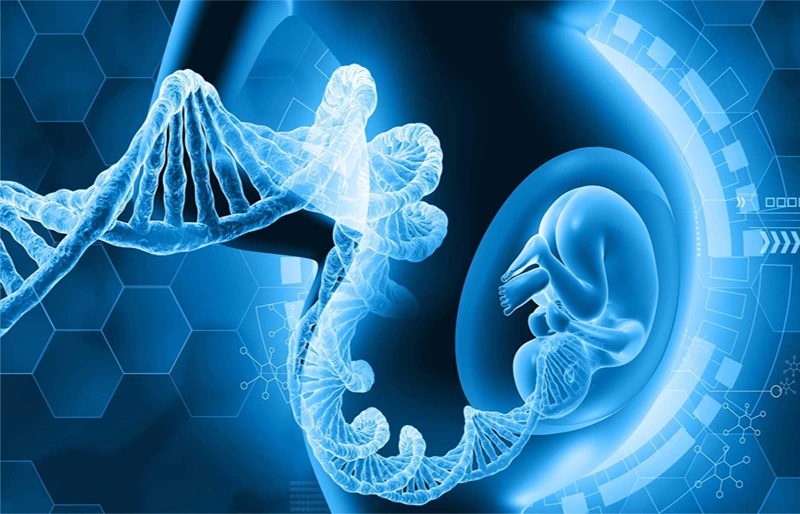 Chọn lọc phôi di truyền tốt