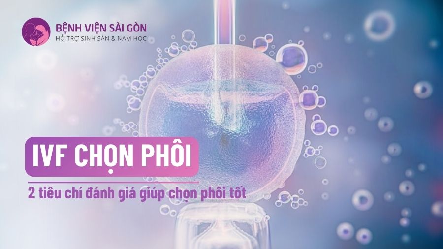 IVF chọn phôi