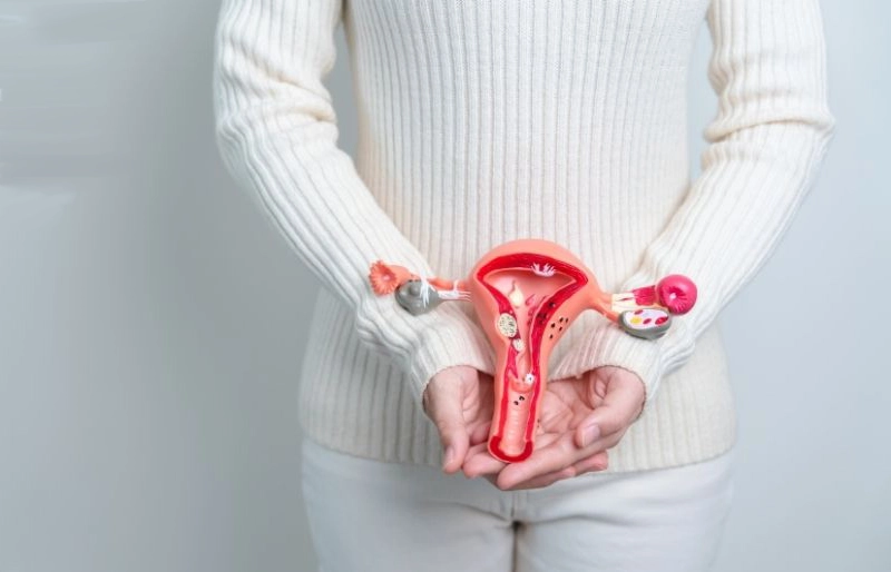 Những yếu tố ảnh hưởng đến chi phí IUI