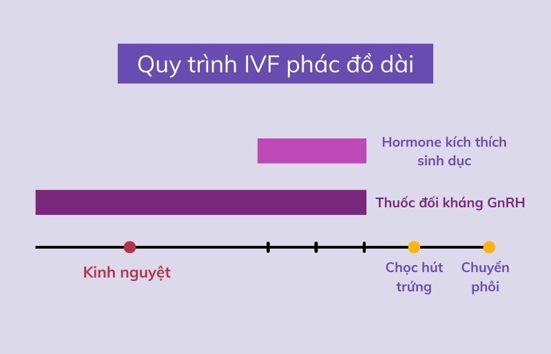 Mô tả đặc điểm của IVF phác đồ dài Mô tả đặc điểm của IVF phác đồ dài