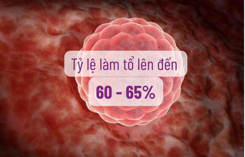 Tăng tỷ lệ làm tổ