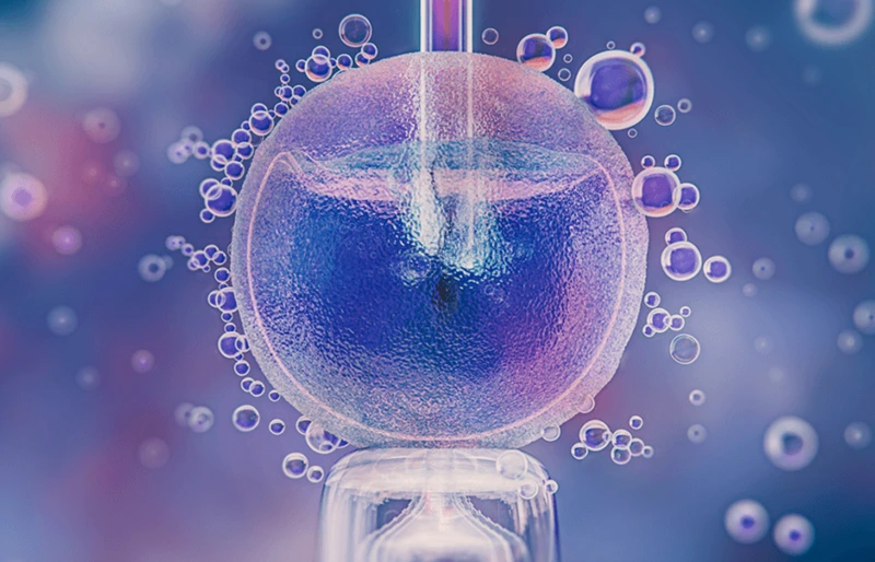 Thụ tinh ống nghiệm (IVF) là gì