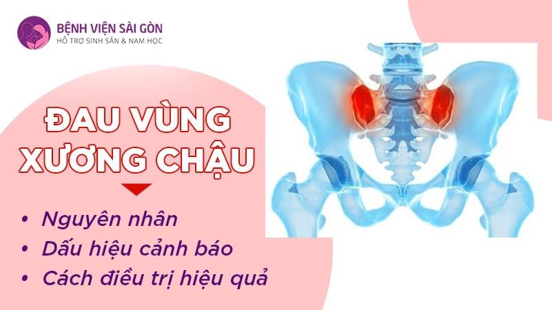 Đau vùng xương chậu: Nguyên nhân, dấu hiệu cảnh báo và cách điều trị hiệu quả
