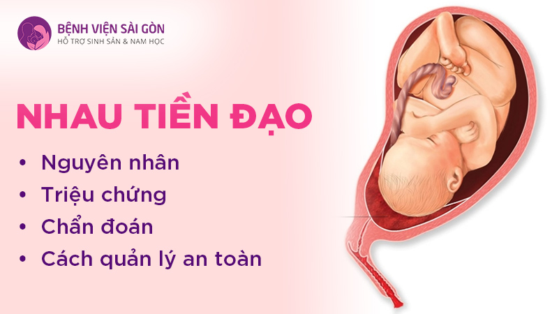 Nhau tiền đạo: Nguyên nhân, triệu chứng, chẩn đoán và cách quản lý an toàn