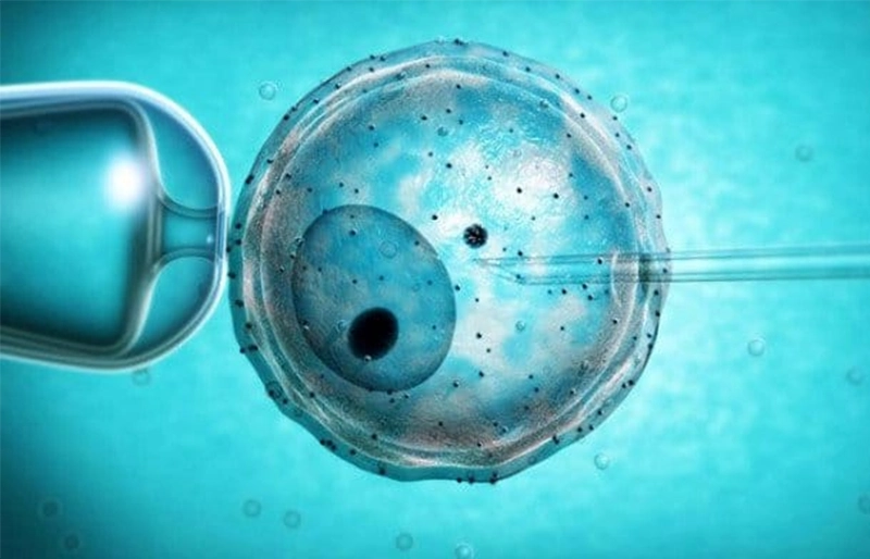 IVF đắt hơn nhưng hiệu quả nhanh hơn