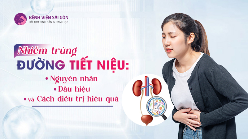 Nhiễm trùng đường tiết niệu: Nguyên nhân, dấu hiệu và cách điều trị hiệu quả