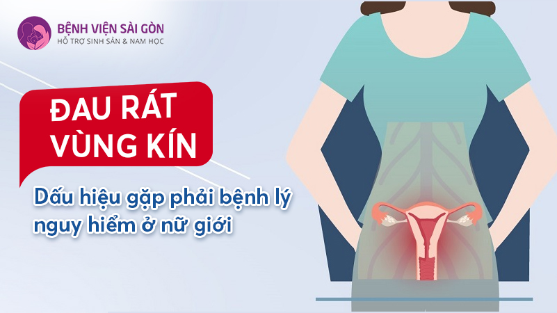 Đau rát vùng kín - Dấu hiệu gặp phải bệnh lý nguy hiểm ở nữ giới