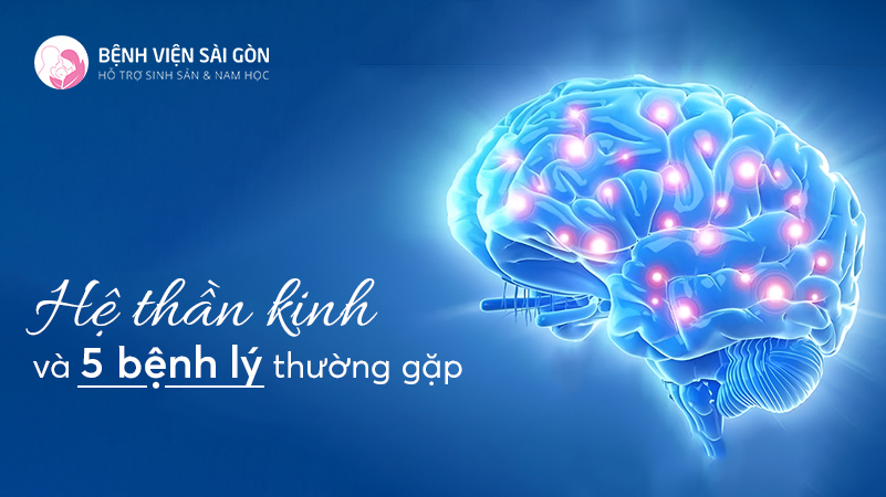 Hệ thần kinh và 5 bệnh lý thường gặp