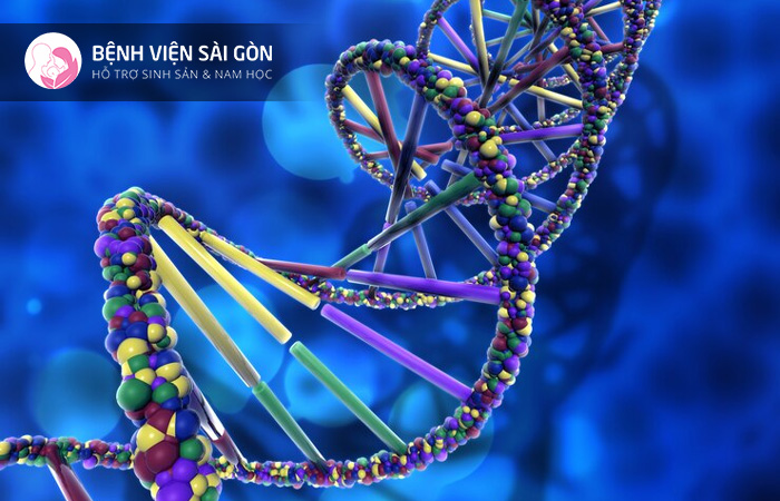Các hoạt động ngoài trời tạo nên không khí vui tươi nhưng cũng không kém phần đoàn kết