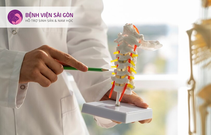 Bệnh loãng xương là bệnh khiến xương bị xốp và yếu