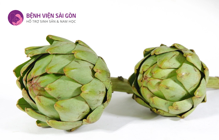 Atiso giúp cải thiện hệ thống miễn dịch, tăng khả năng ghi nhớ của não bộ