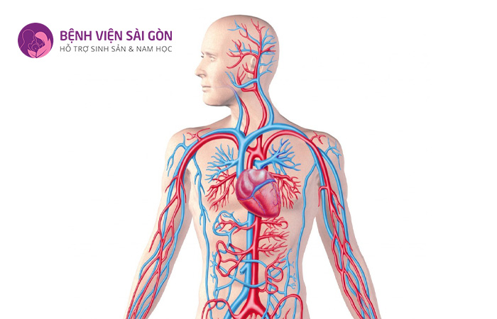 Trường hợp nữ giới sử dụng thuốc nội tiết cũng có thể gây ra tình trạng chảy máu âm đạo