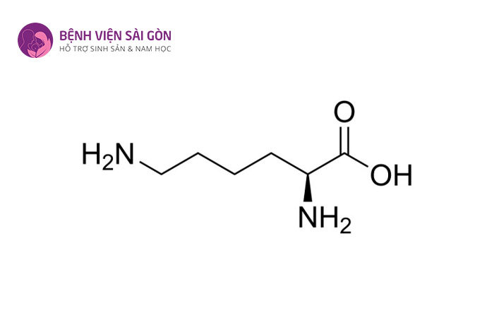 Kiểm tra tổng quát giúp phát hiện tiềm ẩn bệnh lao sinh dục