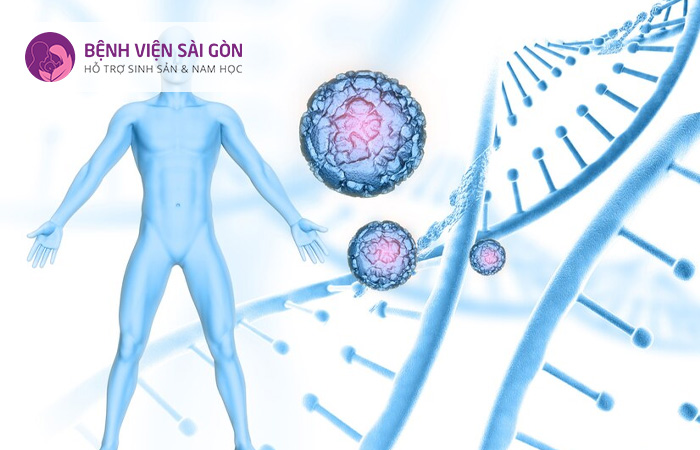 Sự bất thường của các mạch máu cũng có thể khiến mẹ bầu bị tiền sản giật