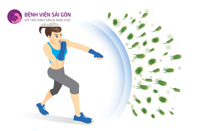 Histidine, lysine và threonine giúp tăng cường khả năng miễn dịch của cơ thể
