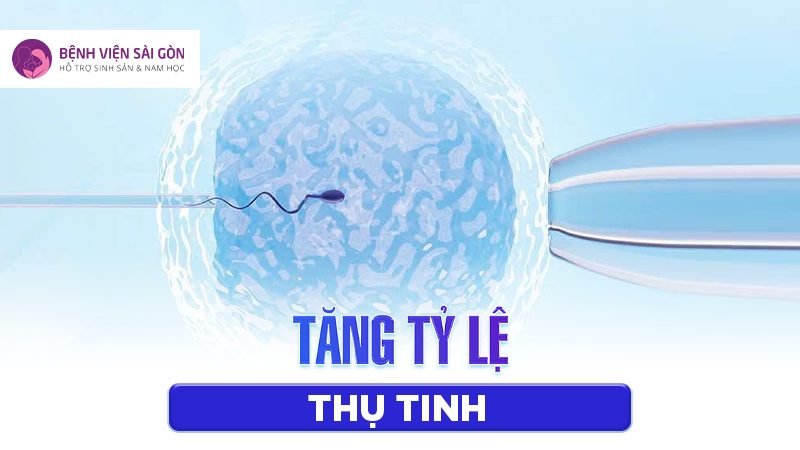 Piezo ICSI giúp cải thiện đáng kể tỷ lệ thụ tinh so với ICSI thông thường