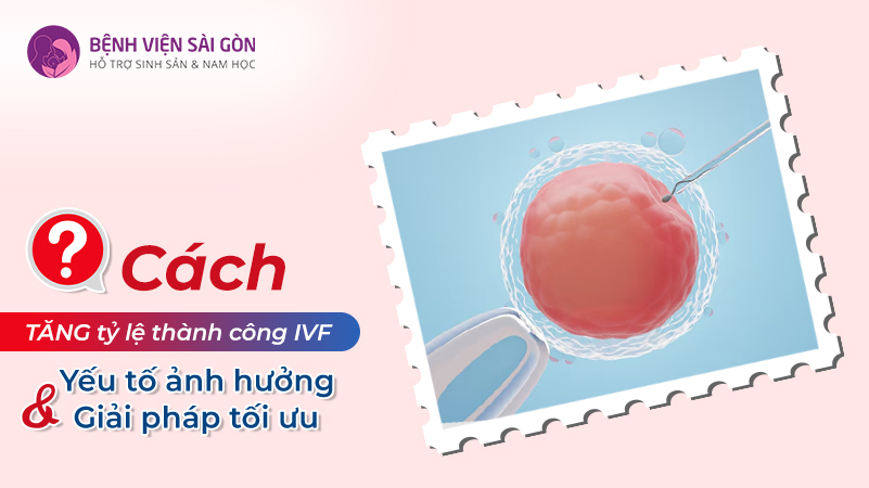 Yếu tố ảnh hưởng & Giải pháp tối ưu giúp tăng tỷ lệ thành công IVF là gì?