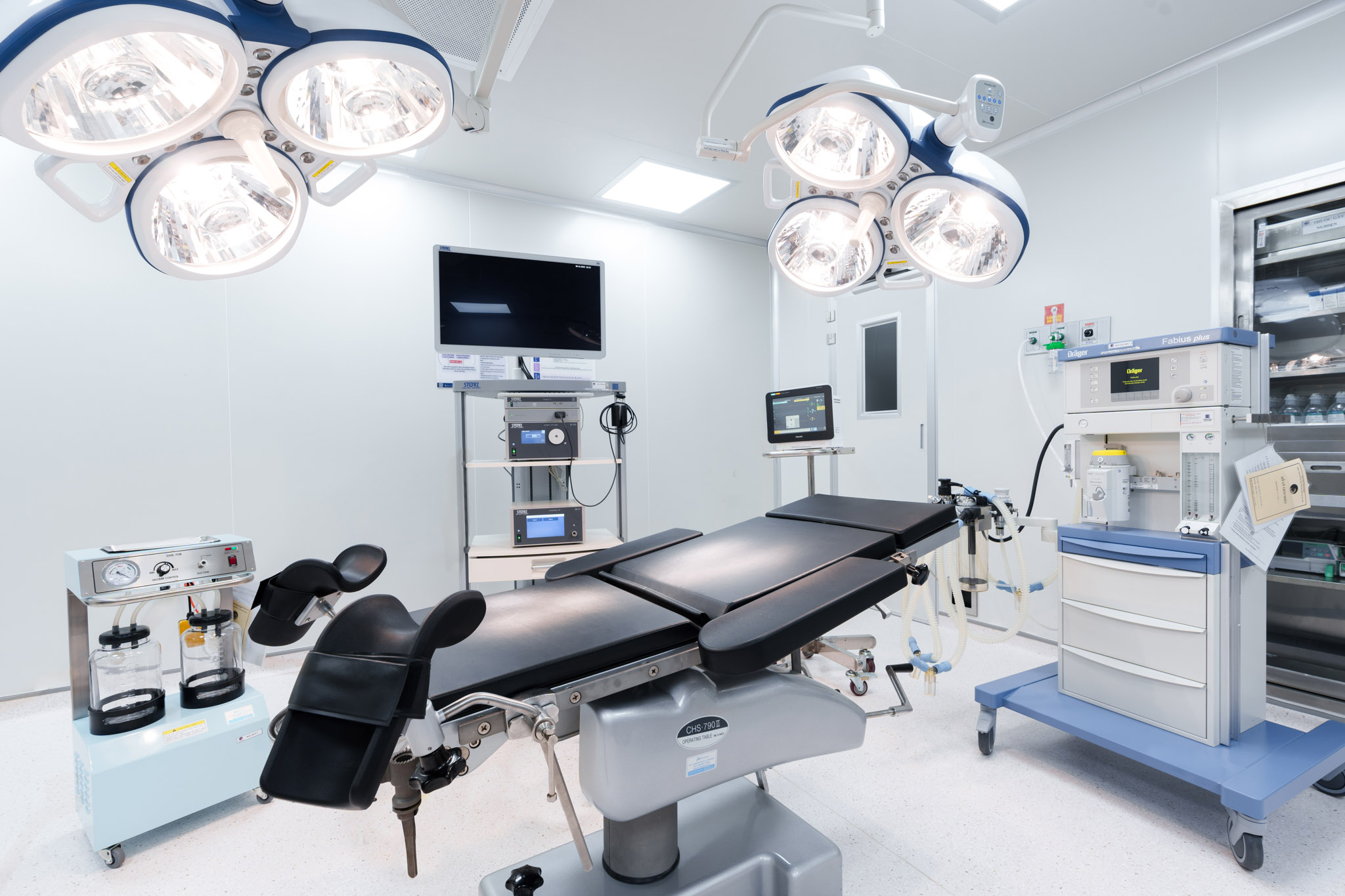 Nhân sâm là một trong những bài thuốc giúp cơ thể bổ tăng sản sinh hormone FSH