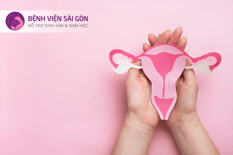 Đánh giá sức khỏe sinh sản