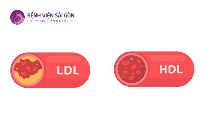 Xét nghiệm máu có vai trò quan trọng trong chẩn đoán các bệnh tim mạch