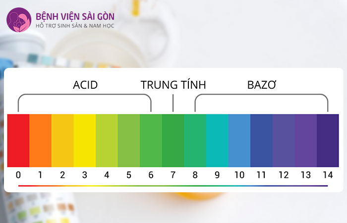 Độ pH quá cao hoặc quá thấp cũng gây ảnh hưởng nên hoạt động của men trong cơ thể