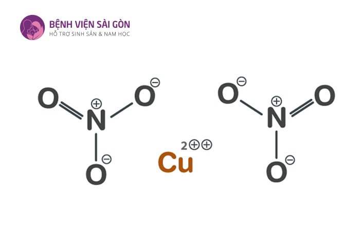 Đồng là một khoáng chất vi lượng cần thiết trong cơ thể