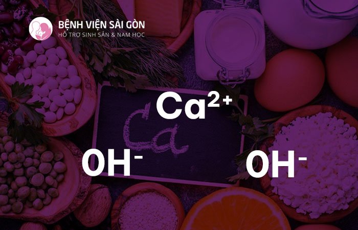 Chế độ ăn chứa nhiều canxi giúp ngăn ngừa bệnh loãng xương