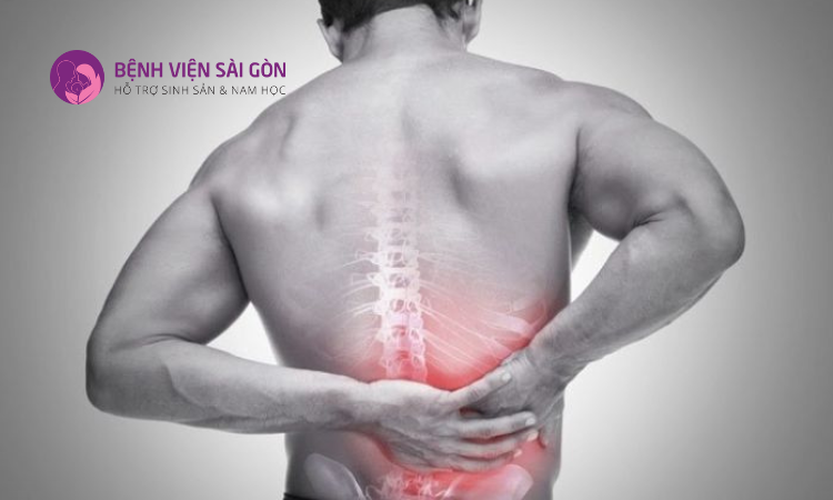 Đau vùng thắt lưng là triệu chứng thường thấy khi người bệnh bị nhiễm trùng đường tiết niệu