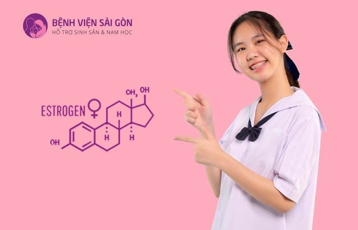 Prolactin tăng cao sẽ làm giảm sản sinh hormone estrogen
