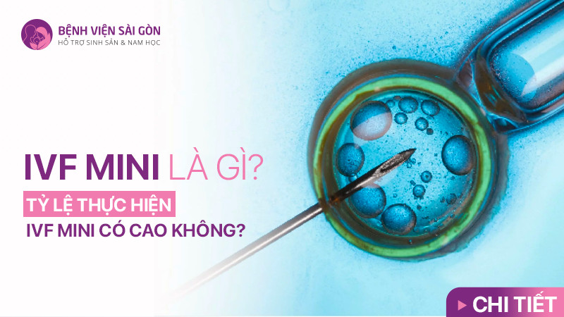 IVF Mini là gì? Tỷ lệ thực hiện IVF Mini có cao không?