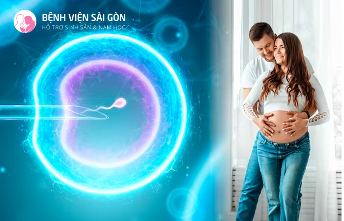 IVF mini có chi phí thấp hơn IVF thường quy