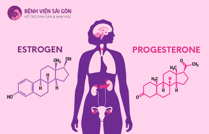 Nồng độ nội tiết trong cơ thể mất cân bằng gây ra tình trạng táo bón thai kỳ