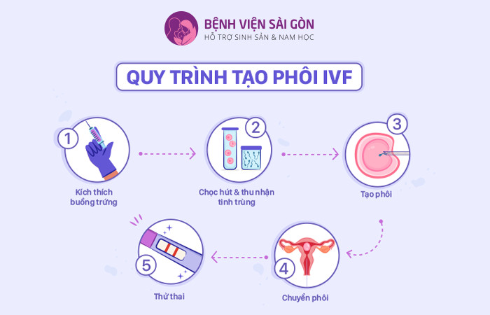 Tạo phôi IVF trải qua 5 bước