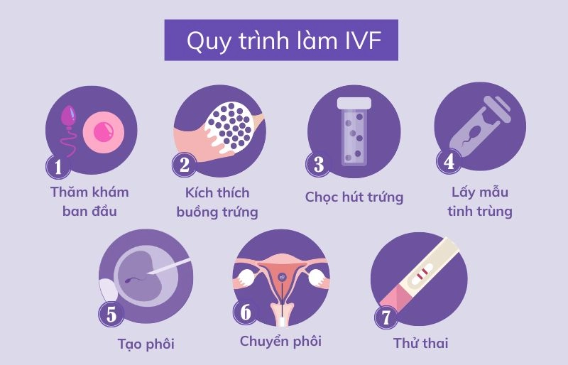 Quy trình thực hiện thụ tinh trong ống nghiệm