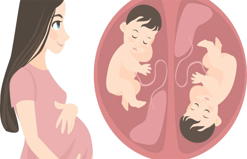 Sức khỏe thể chất