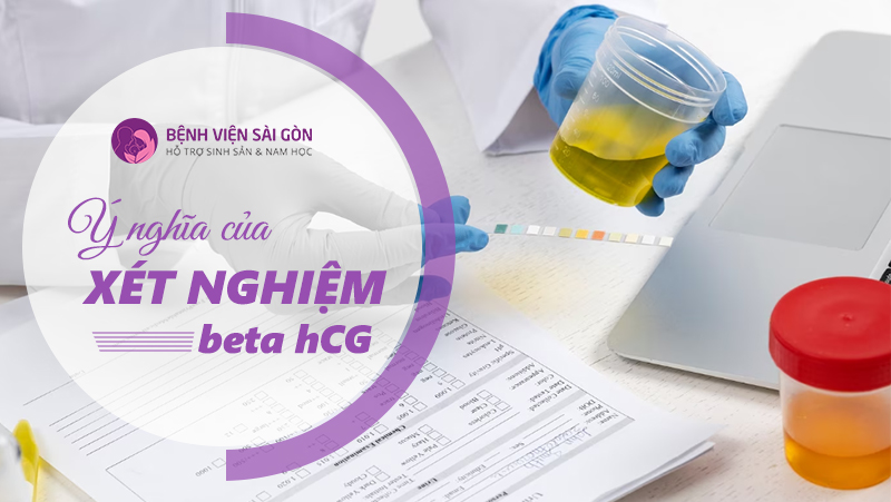 Xét nghiệm beta hCG có thực sự quan trọng?