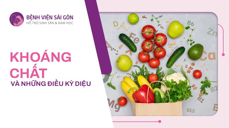 Khoáng chất là một yếu tố quan trong trong sự phát triển của cơ thể